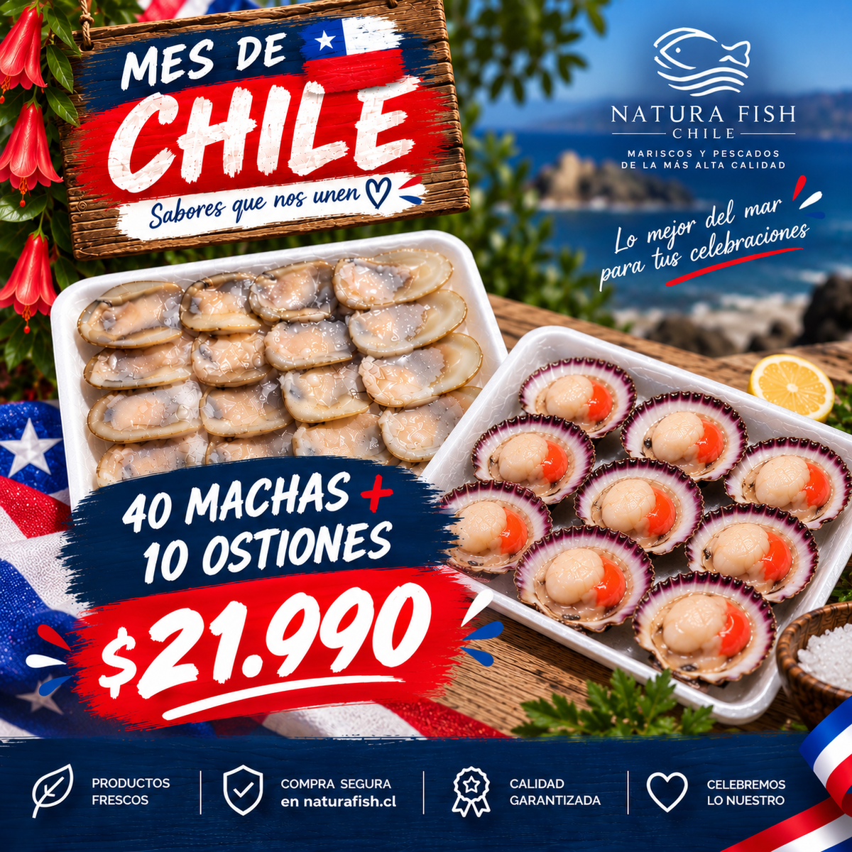 Mes 🇨🇱 40 Machas + 10 ostiones