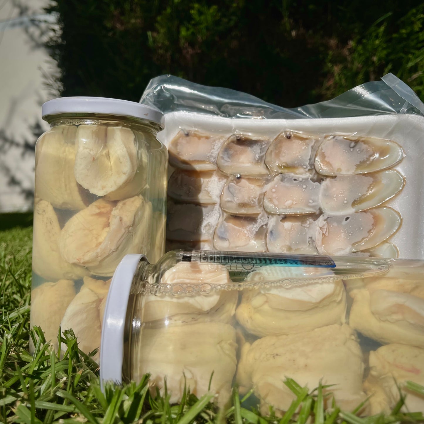 100 Machas + Frasco Locos