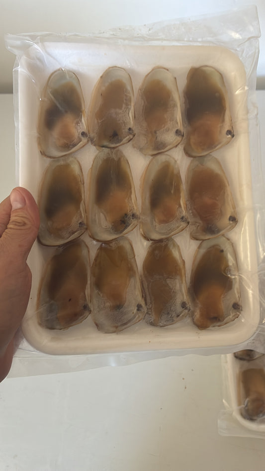 60 Machas Jumbo Media Concha ( Foto Referencial)