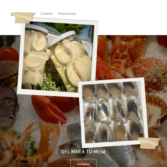 24 Machas Jumbo + Frasco de Locos Cocidos