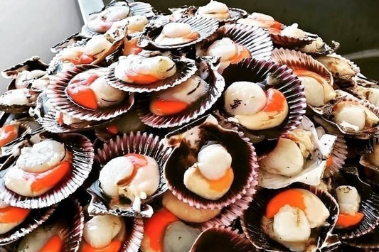 🐚 Pack Familiar Plus – 60 Machas + 20 Ostiones