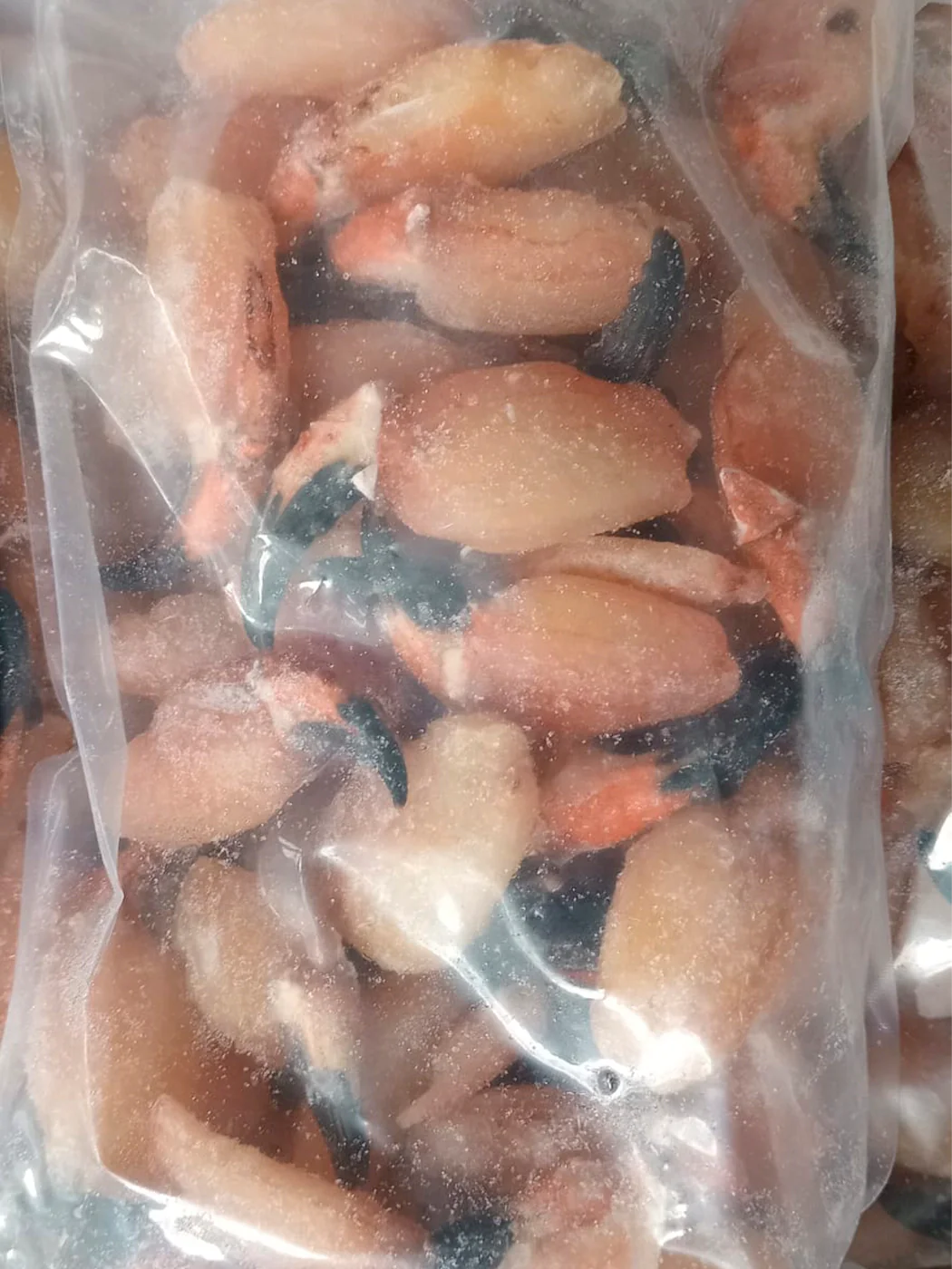 Pinzas Jumbo y Carne de Jaiba